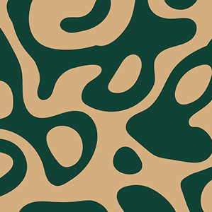 Yellowstone Geysers Trail Sock