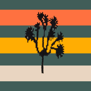 Joshua Tree Trail Sock