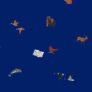 Naturalist Club Trail Crew Sock