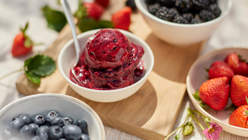 Sorbet Attachment <br />Getting Started Guide