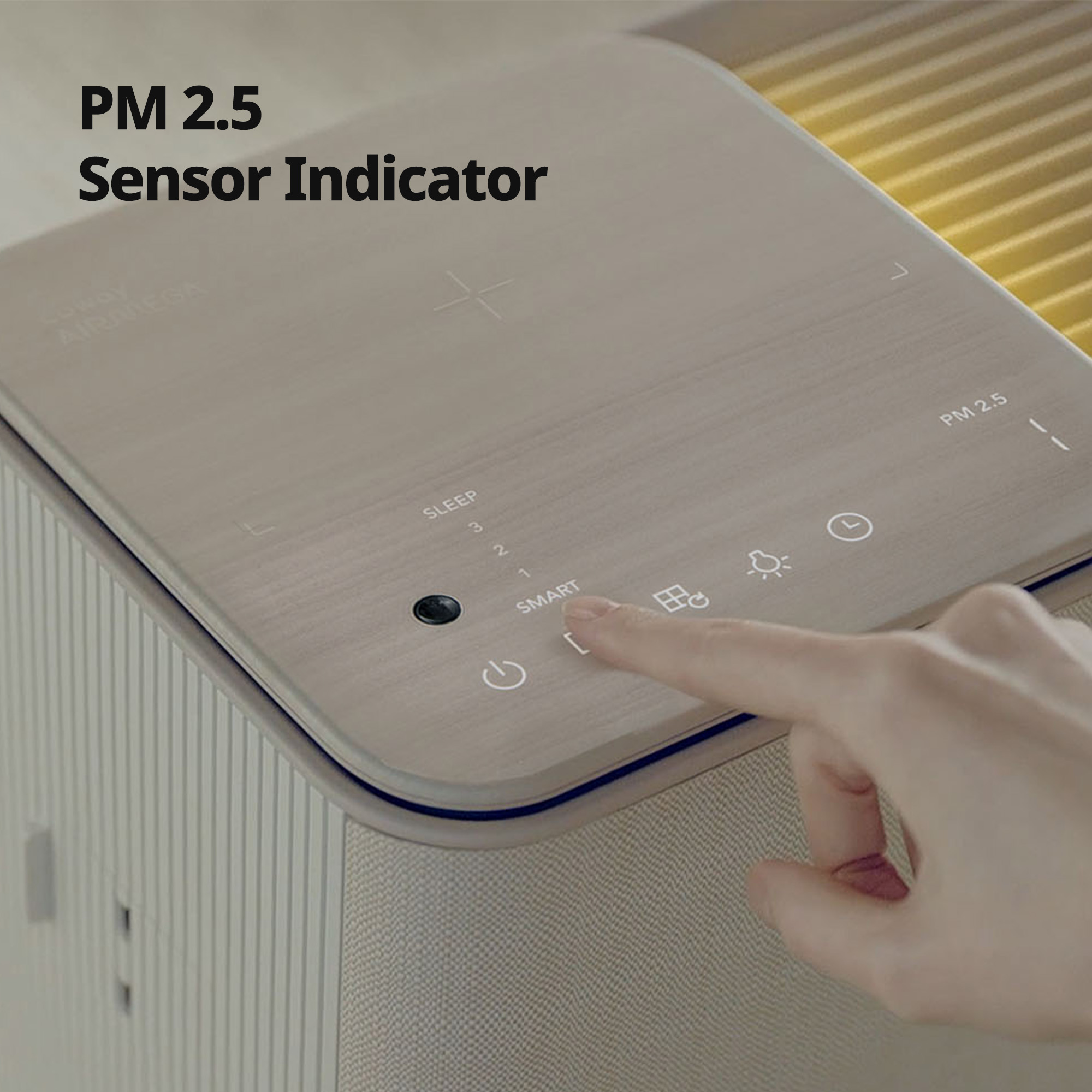 PM 2.5 particle sensor indicator 