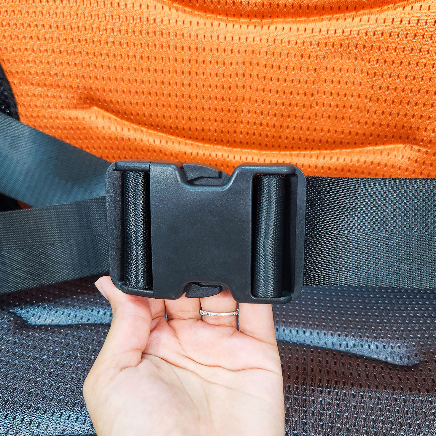 Safety Belt