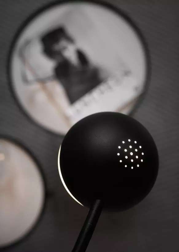 Balancer Wall Light