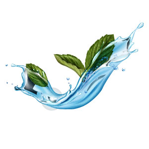 Refreshing Odor Treatment Socks