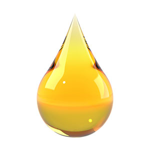 Collagen Socks Imperial Gold