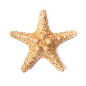 Pedi in a Box Deluxe 4 Step Pomegranate Radiance