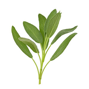 Pedi in a Box Ultimate 6 Step Wild Black Plum