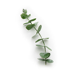 Pedi in a Box Deluxe 4 Step Pomegranate Radiance