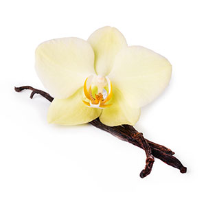 Pedi in a Box Glimmer 5 Step Unicorn Peach