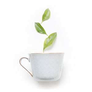 Mani in a Box Deluxe 3 Step Green Tea Detox
