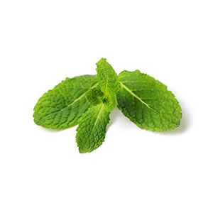 Collagen Socks Imperial Gold