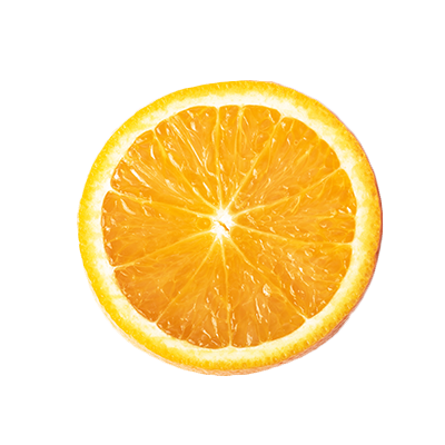 Vitamin C Shower Filter Citrus Crush