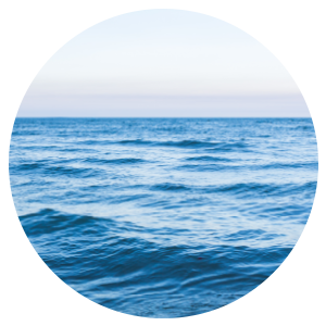 Sugar Scrub + Bubble Wash Clean Ocean