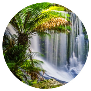 Sugar Scrub + Bubble Wash Clean Ocean