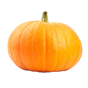 Pumpkin Pie Vegan Hand Crème, 1.5 Oz.
