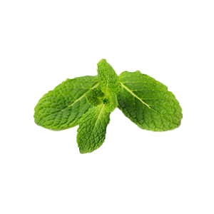 Peppermint Swirl Vegan Hand Crème, 1.5 Oz.
