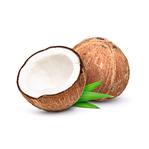 Coco Colada Oasis Duo