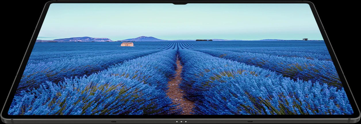 Samsung 三星 Galaxy Tab S9 平板電腦 Samsung Galaxy Tab S9