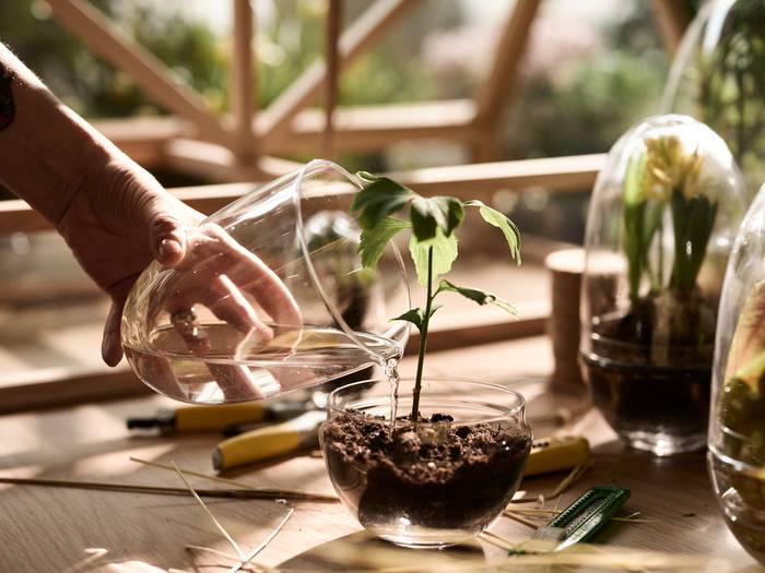Grow Medium Greenhouse