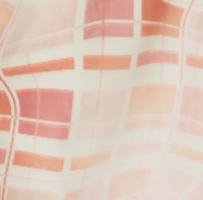Printed Swim Short - Warped Check