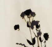 Embroidered Fuji Silk Camp Collar Shirt - Marseille Dried Floral