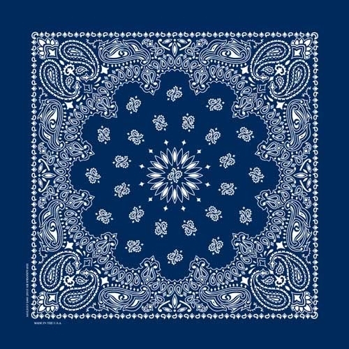 nt4402-bandana-paisley-navy-product-detail-image