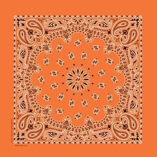 nt4404-bandana-paisley-orange-product-detail-image