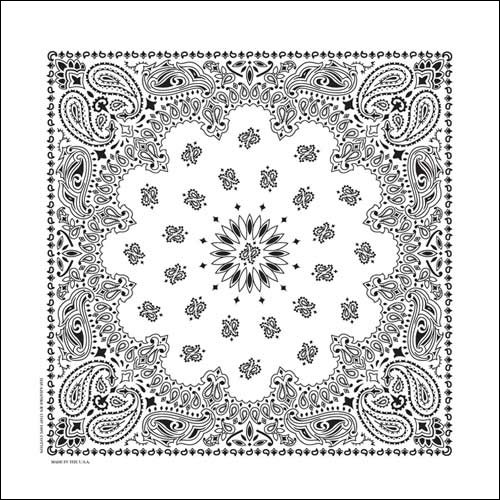 nt4409-bandana-paisley-white-product-detail-image