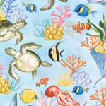 Reef Life