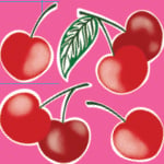 Cherry Blossom