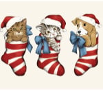 Festive Fur Babies