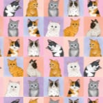 Kitty Cat