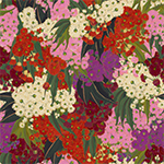 Australian Bush Blossom