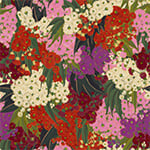 Australian Bush Blossom