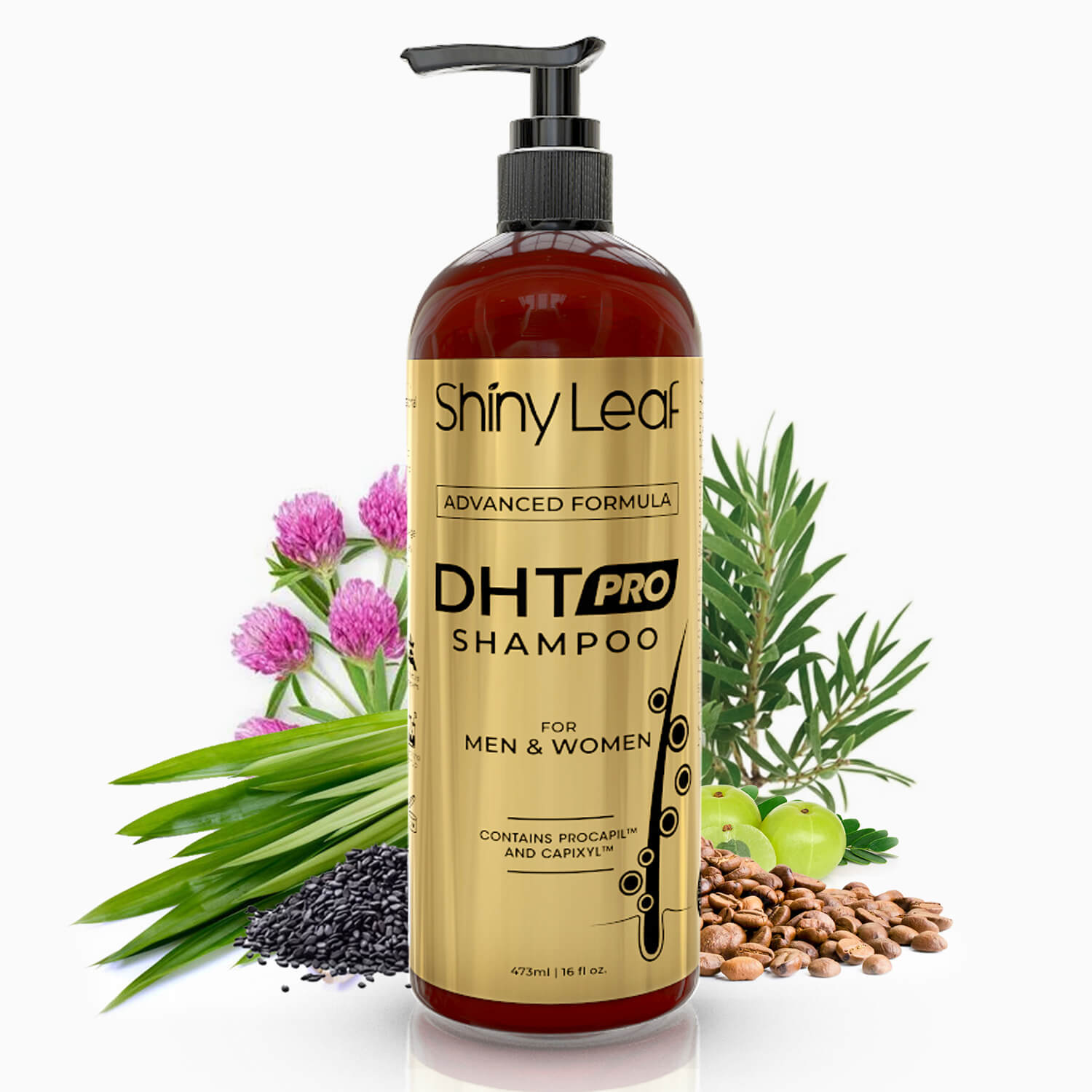 ADVANCED FORMULA DHT PRO SHAMPOO What's Inside