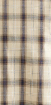 Oversized Check Short Sleeve Shirt - Beige Check