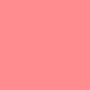 decent-paper-straw-watermelon-color