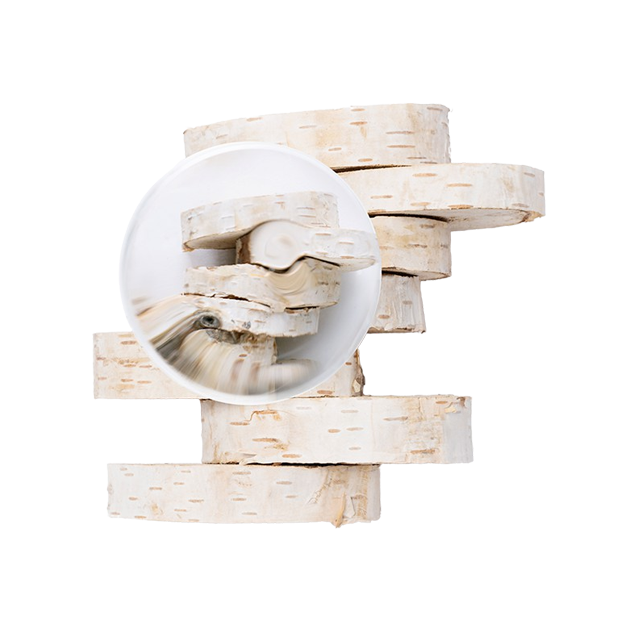 Savia de abedul ecológica