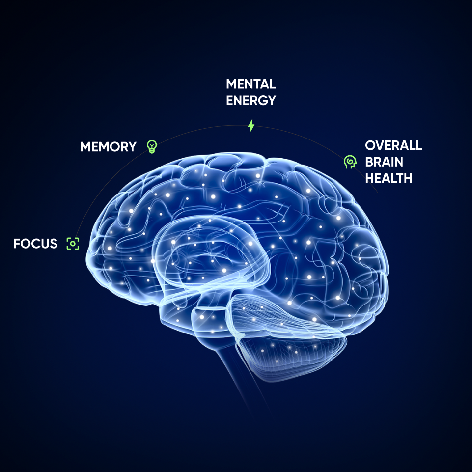 The Ultimate Nootropic