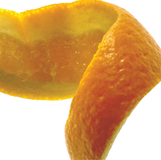 TOP: Orange Blossom