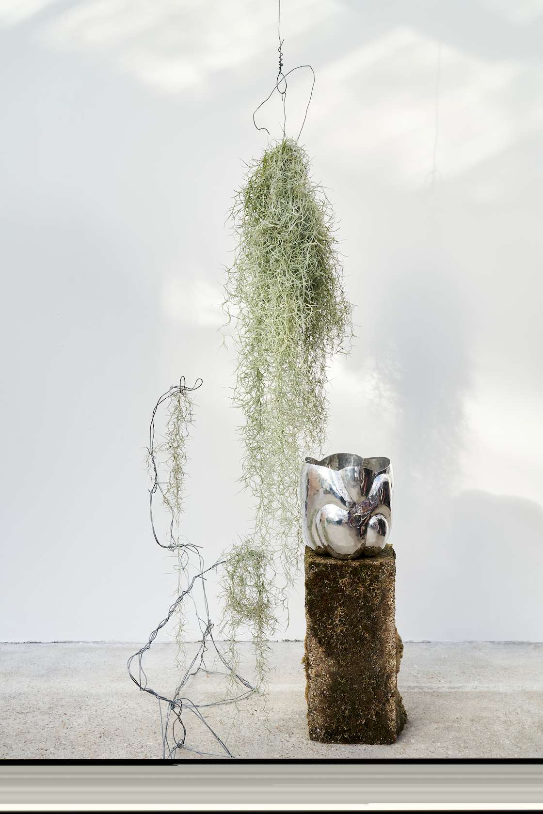 Cloud Tall Vessel