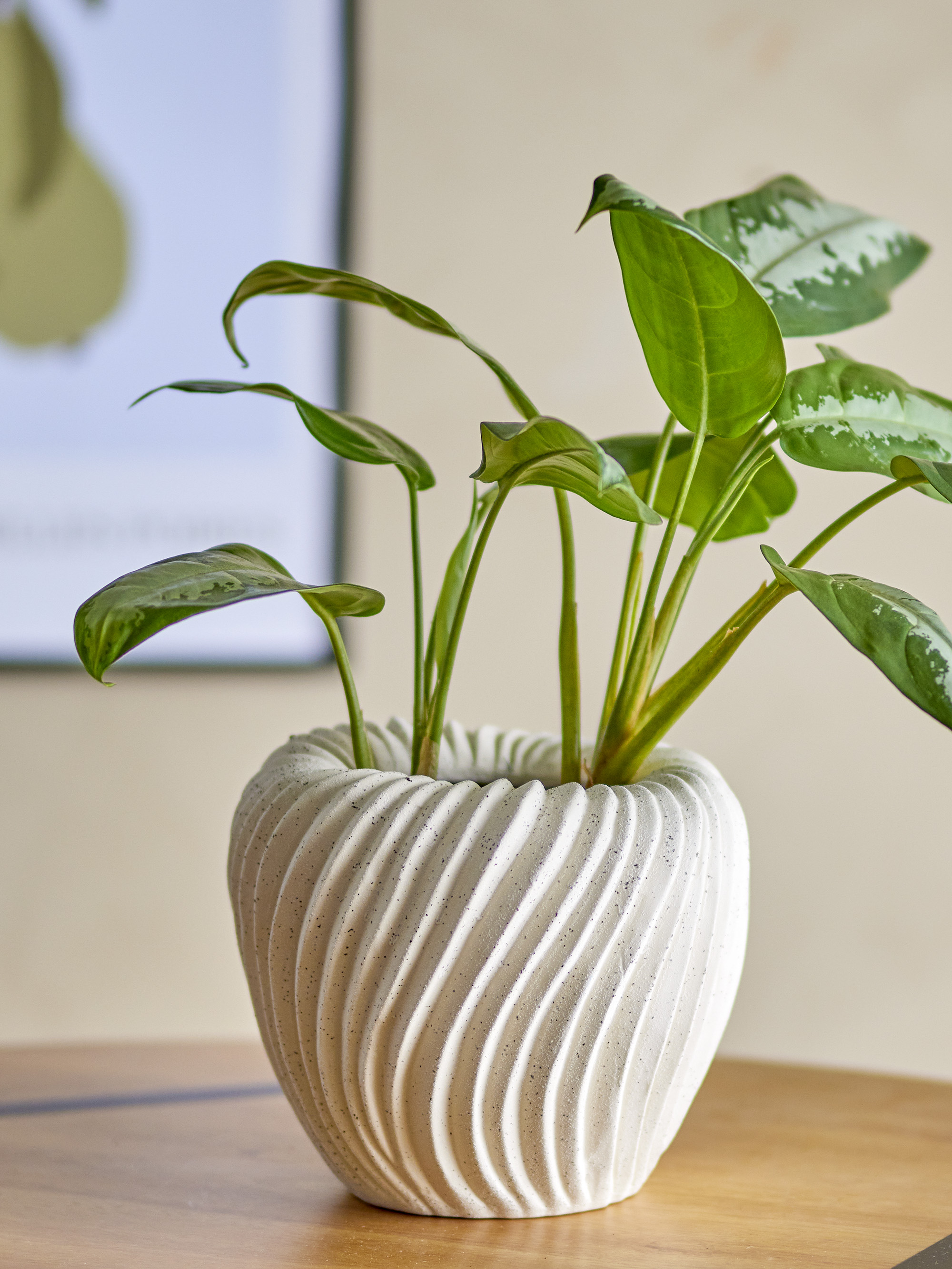 Maham Stoneware Flowerpot - Nature