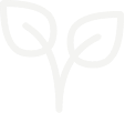 <p>VARIOUS</p>
