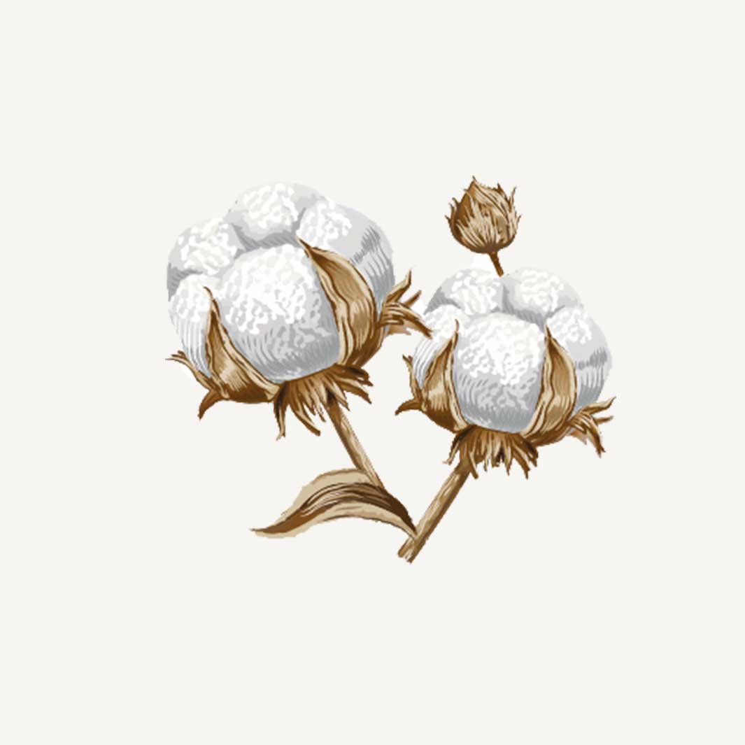 Recharge pour diffuseur d'ambiance Fleur de coton - 250 ml