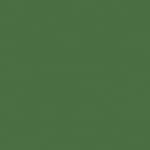 Fern