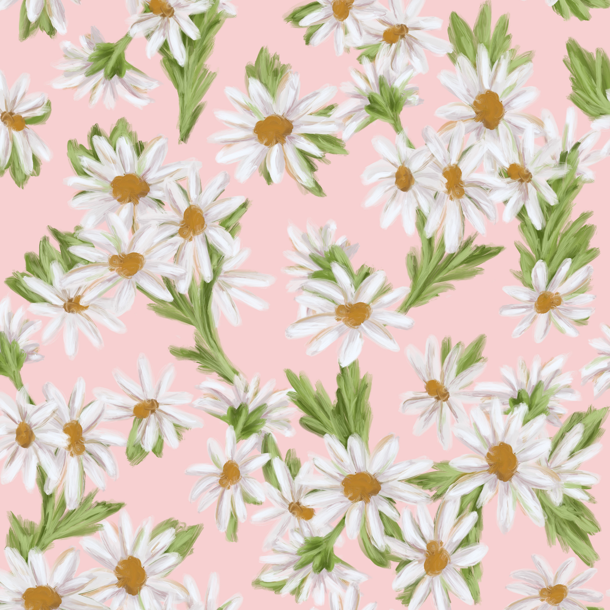 Sweet Daisy