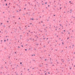 Pink Sprinkle Sherpa