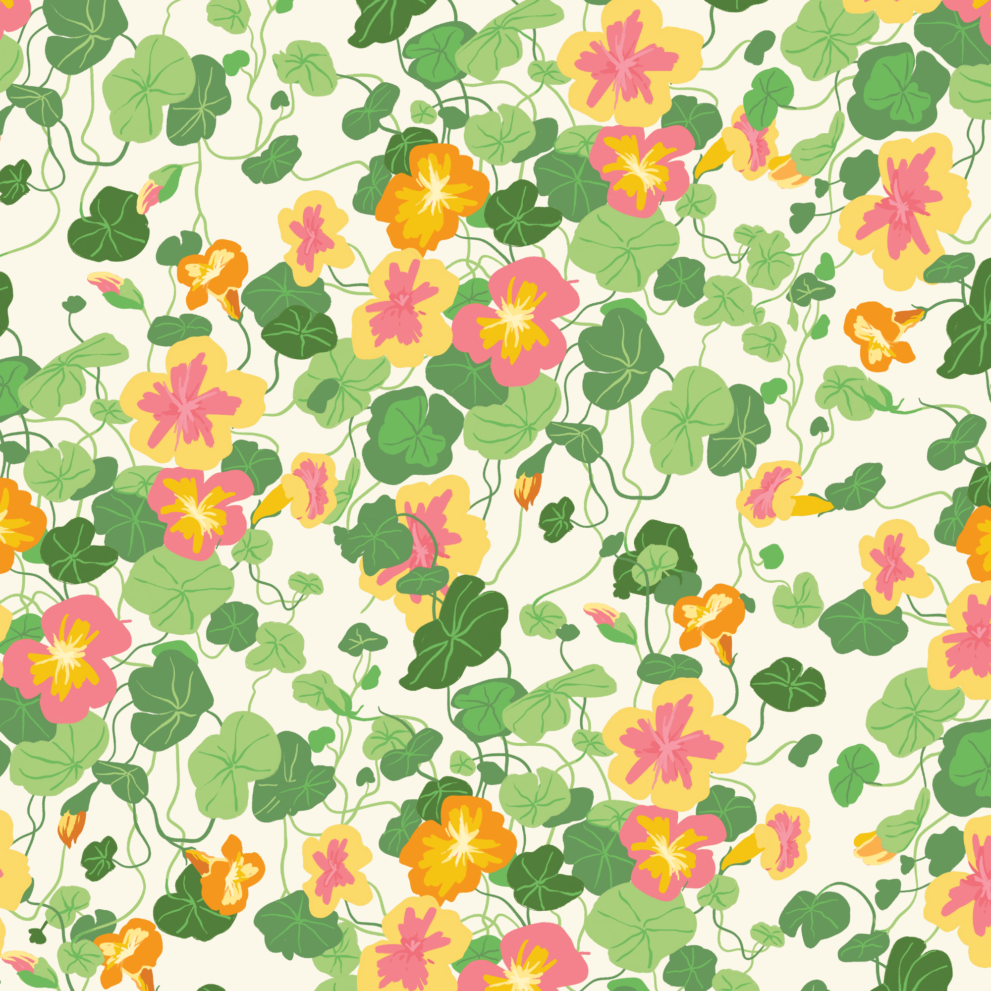 Nasturtium