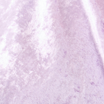 Lavender Honey