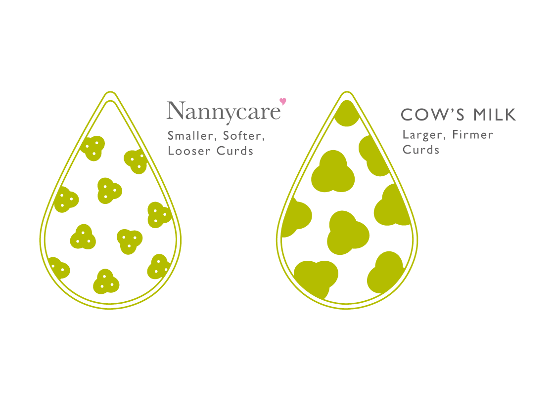 Nannycare 2 Follow on Goat Milk Based, 900 g : : Grocery